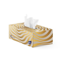 ΜΑΞΙ ΧΑΡΤΟΜΑΝΤΗΛΑ FACIAL ΑΥΤΟΚΙΝΗΤΟΥ 2Φ 150ΤΕΜ